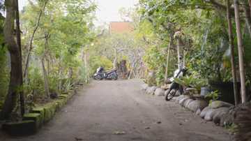Is Canggu dead? A month in Bali as a digital nomad.